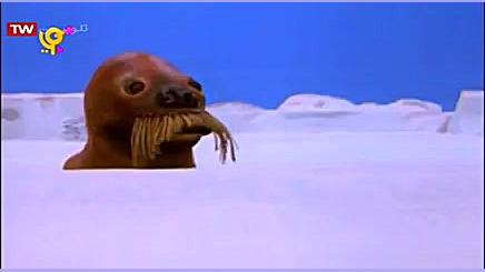 کارتون پینگو  قسمت 267