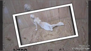 فروش عمده مجسمه پلی استر | مهن...