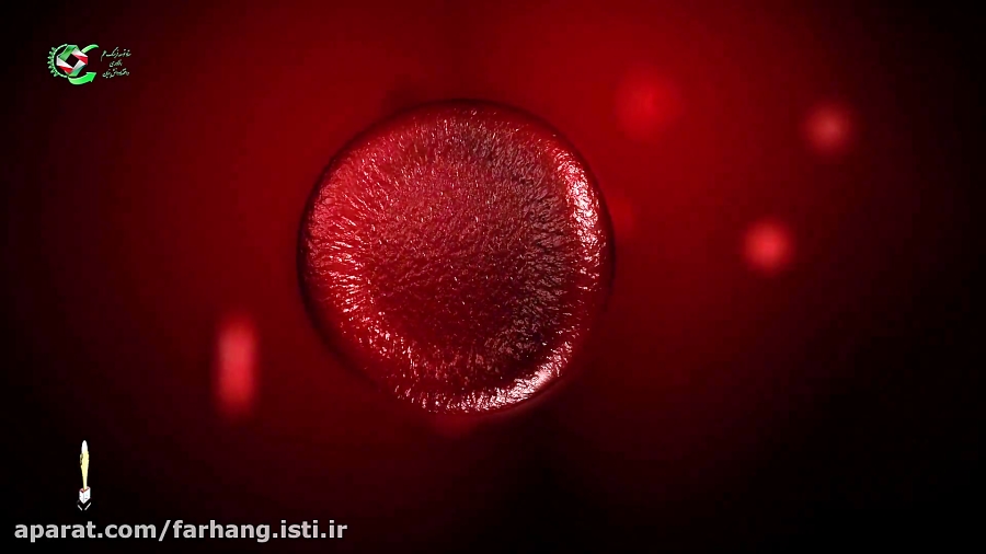معرفی شرکت دانش بنیان سیناژن