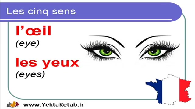 آموزش زبان فرانسوی  درس هفدهم...