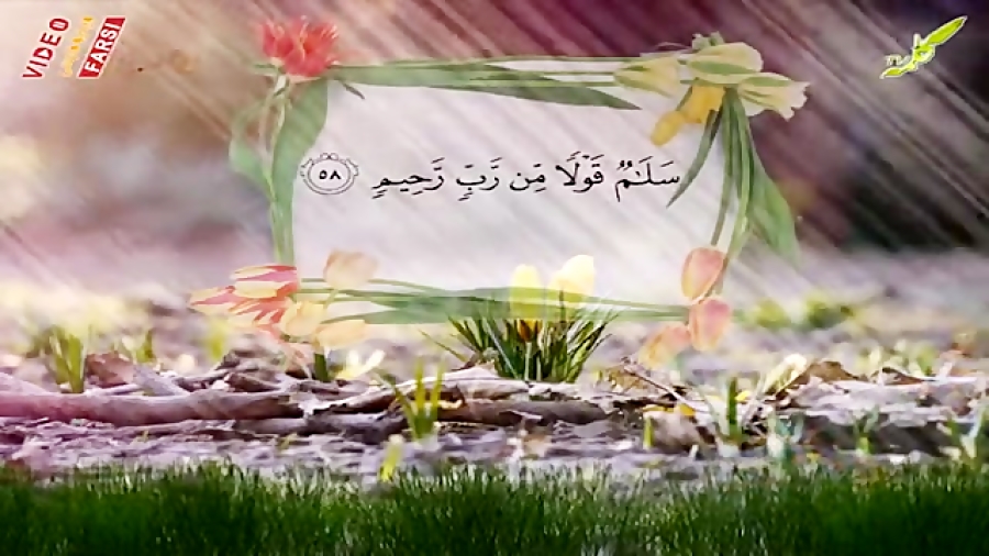 متن سوره یس همراه با ترجمه فارسی فایل صوتی – LNJE