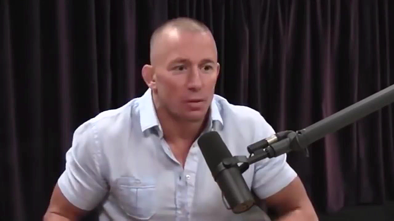 مبارزان mms وحیوانات وحشی