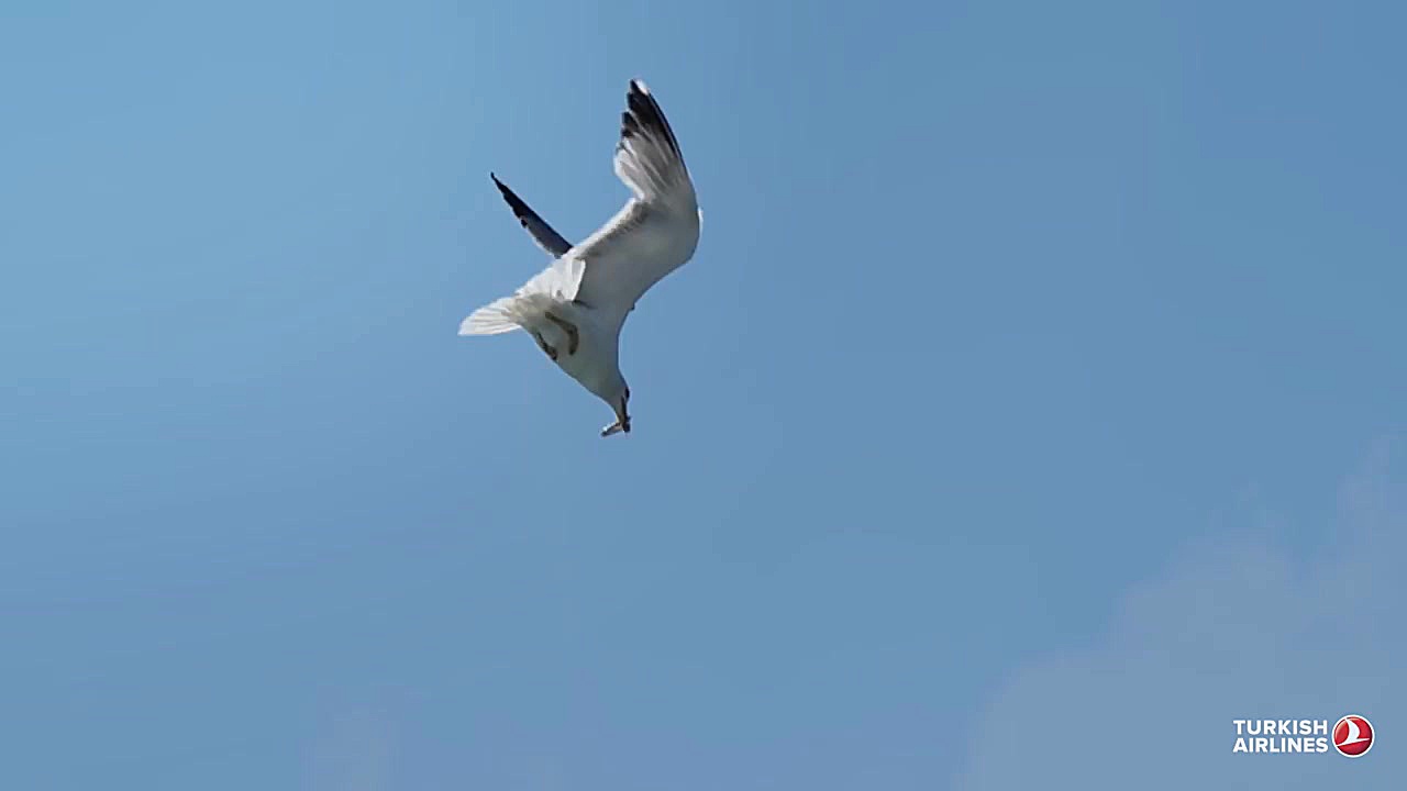 جاذبه های شهر استانبول ترکیه |...