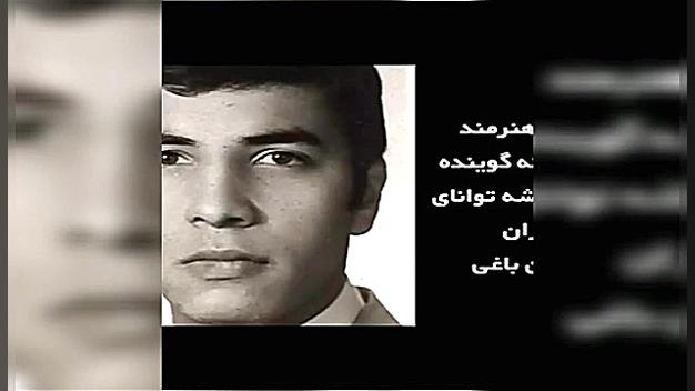 زنده یاد حسین باغی دوبلور سیا...