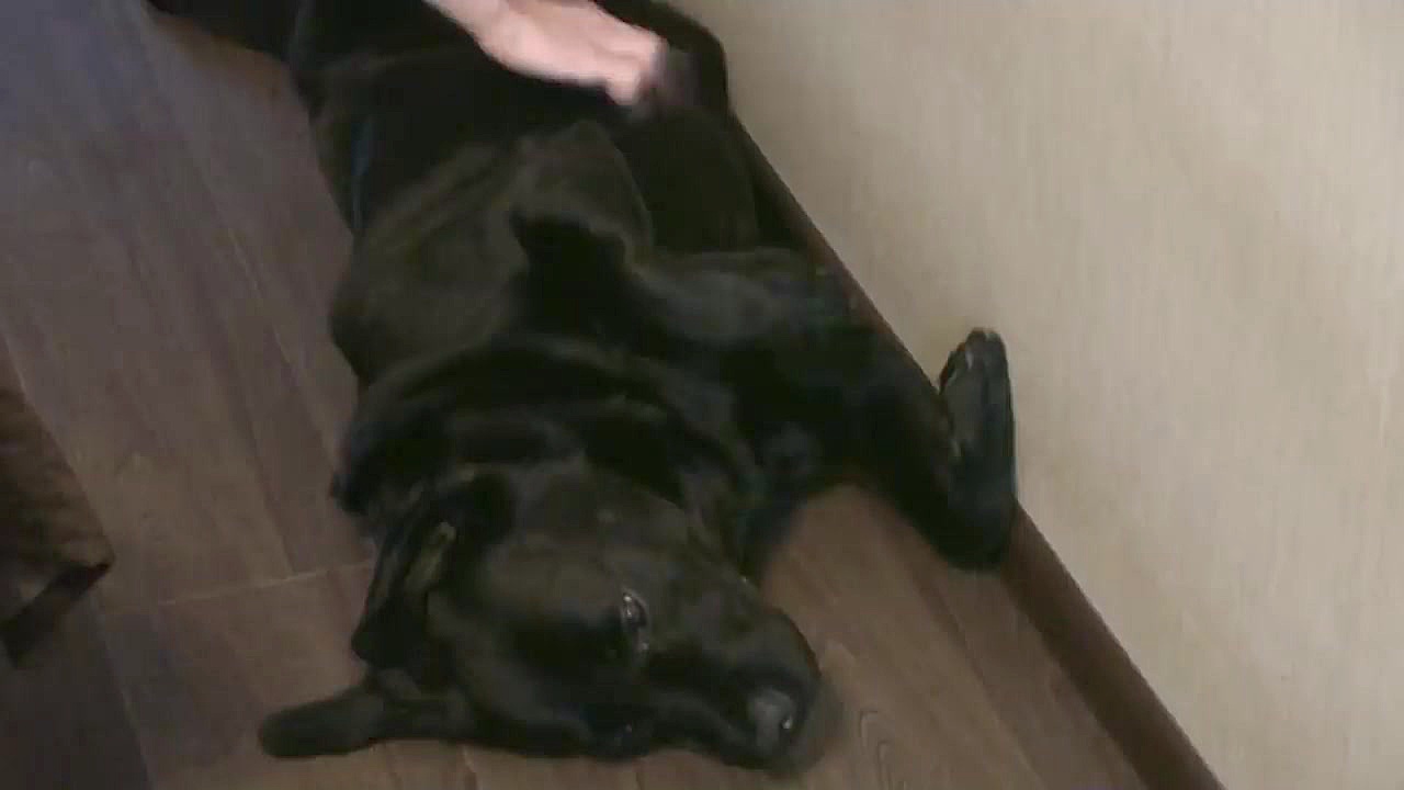 بازار روسیه کسب و کار ها در رو...