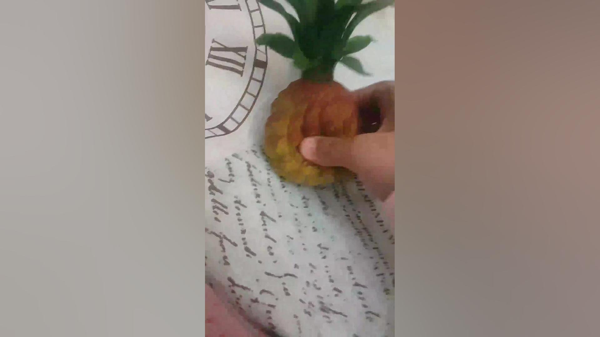 اسکویشی آناناس جدیدم