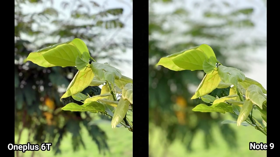 Oneplus 6T vs Galaxy Note 9 _Camera Test