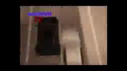 داوود خطر{کوردی}