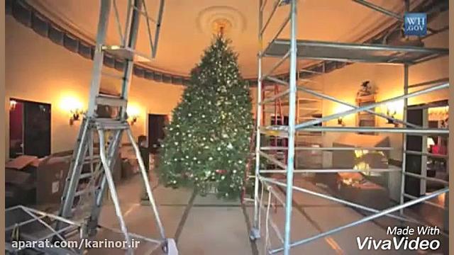 فروش درخت کریسمس خرید کاج کریس...