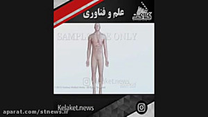 آمار عجیب و کامل ایدز در ایران