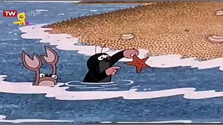 مول  قسمت ۱۰۷