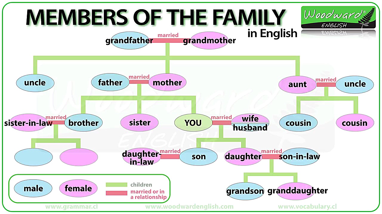 Members of the Family in Engli...
