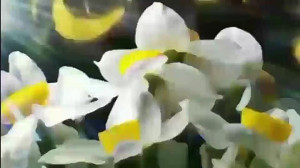 تبریک آغاز امامت امام زمان (با...