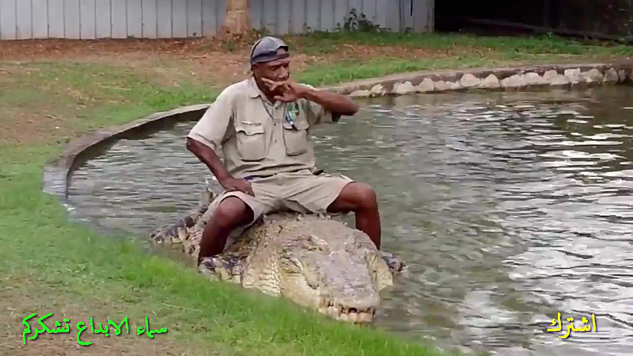 دوستی تماشایی انسان و شیر