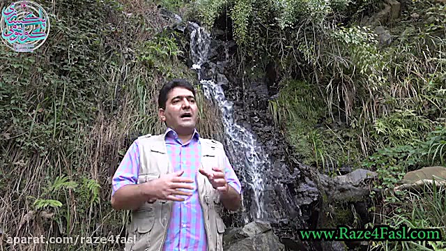 چگونه می توان با پاکسازی درون،...