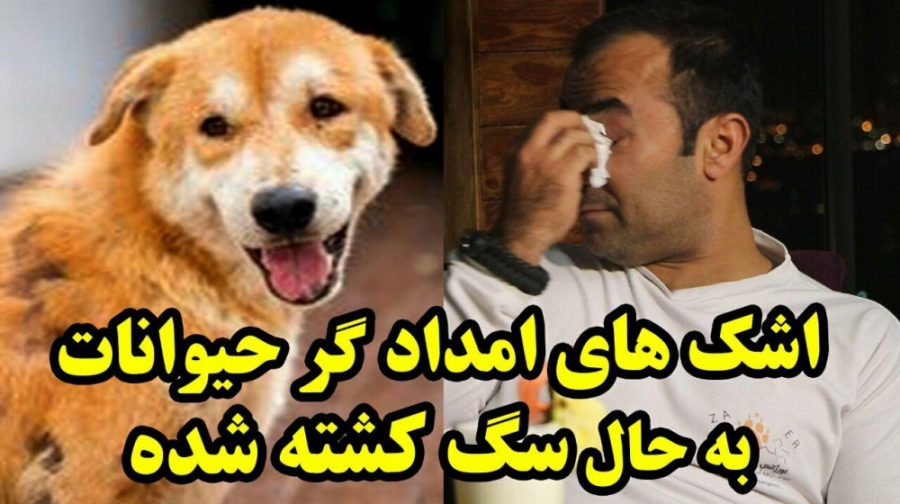 زیروبم 219: ماجرای امداد سگ رض...