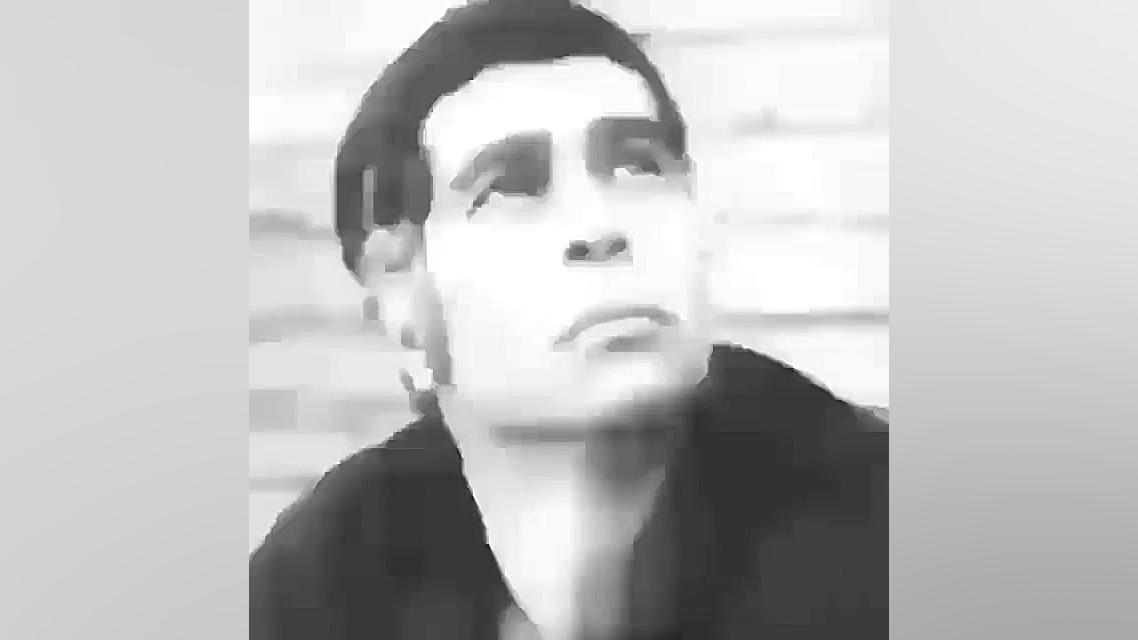 بهروزوثوقی و حامدهاکان