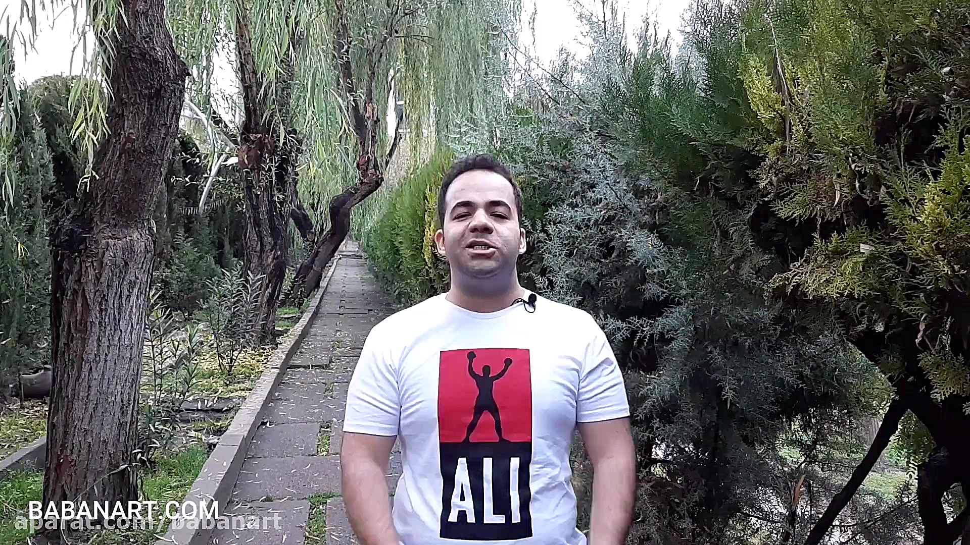 سه نکته جادویی از پیکاسو | علی...