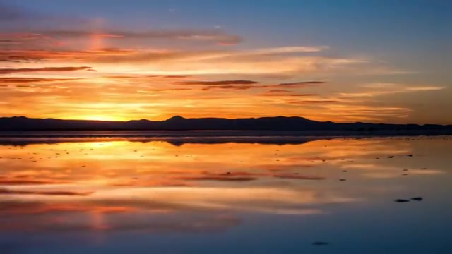 صفحه نمایش آمولد موجود برروی ت...