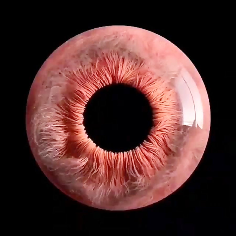 نمای نزدیک چشم انسان 3011
