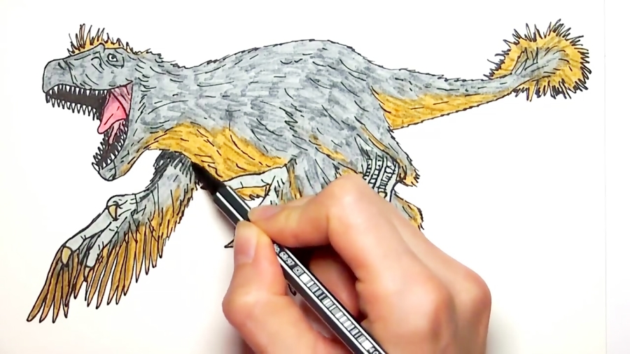 Utah Raptor Simple Drawing and Coloring Utahraptor