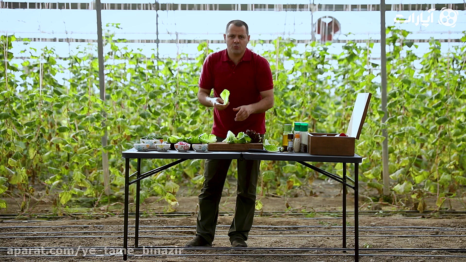 آشپزی در طبیعت 20 با رضا طاهری...