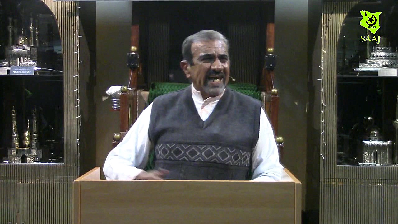 Humans; The Best of Creation...