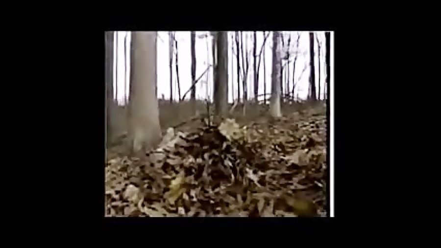 تک تیر انداز