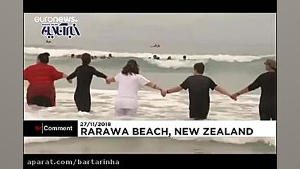 تلاش برای نجات نهنگ ها از خودک...