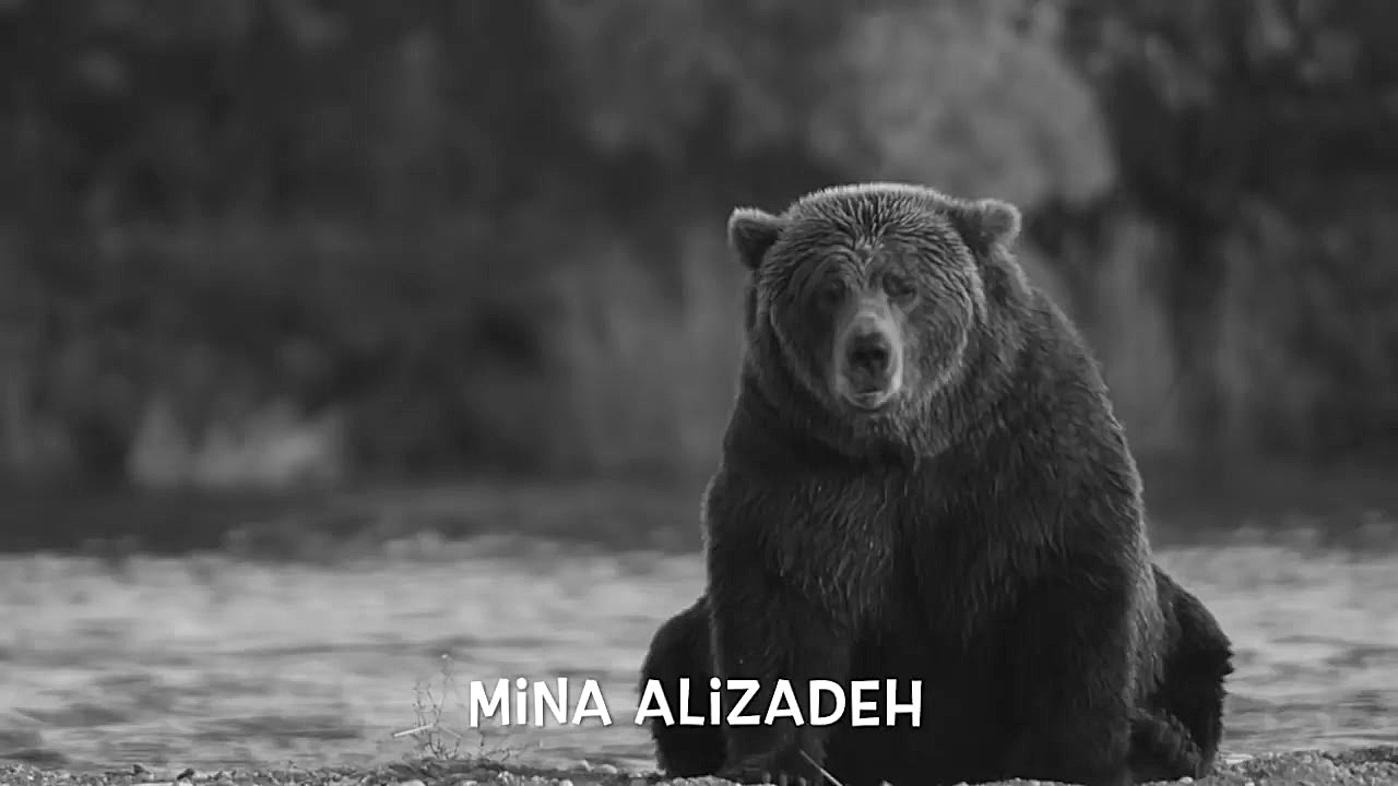 حکایت خرس و اژدها از مثنوی معن...