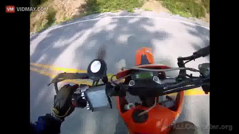 تصادف موتورسوار با گوزن در جاد...