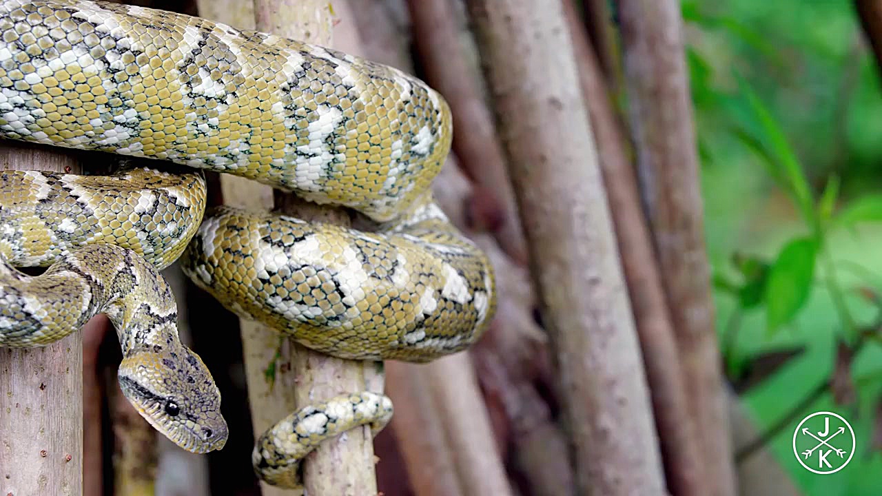 COSTA RICA IN 4K 60fps HDR (UL...