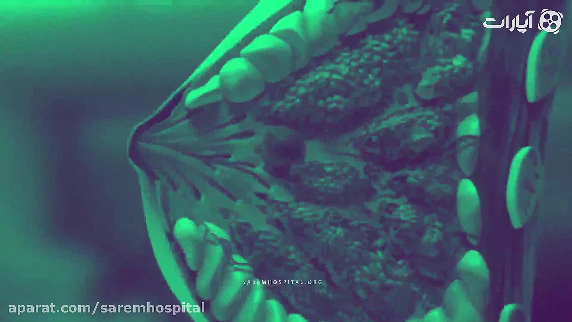 بیمارستان فوق تخصصی صارم نامزد...