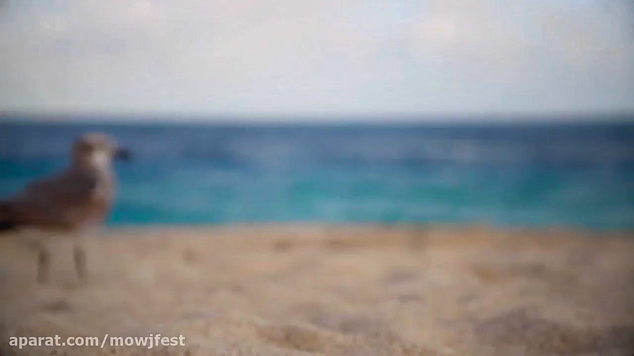 فراخوان سومین جشنواره فیلم کوت...