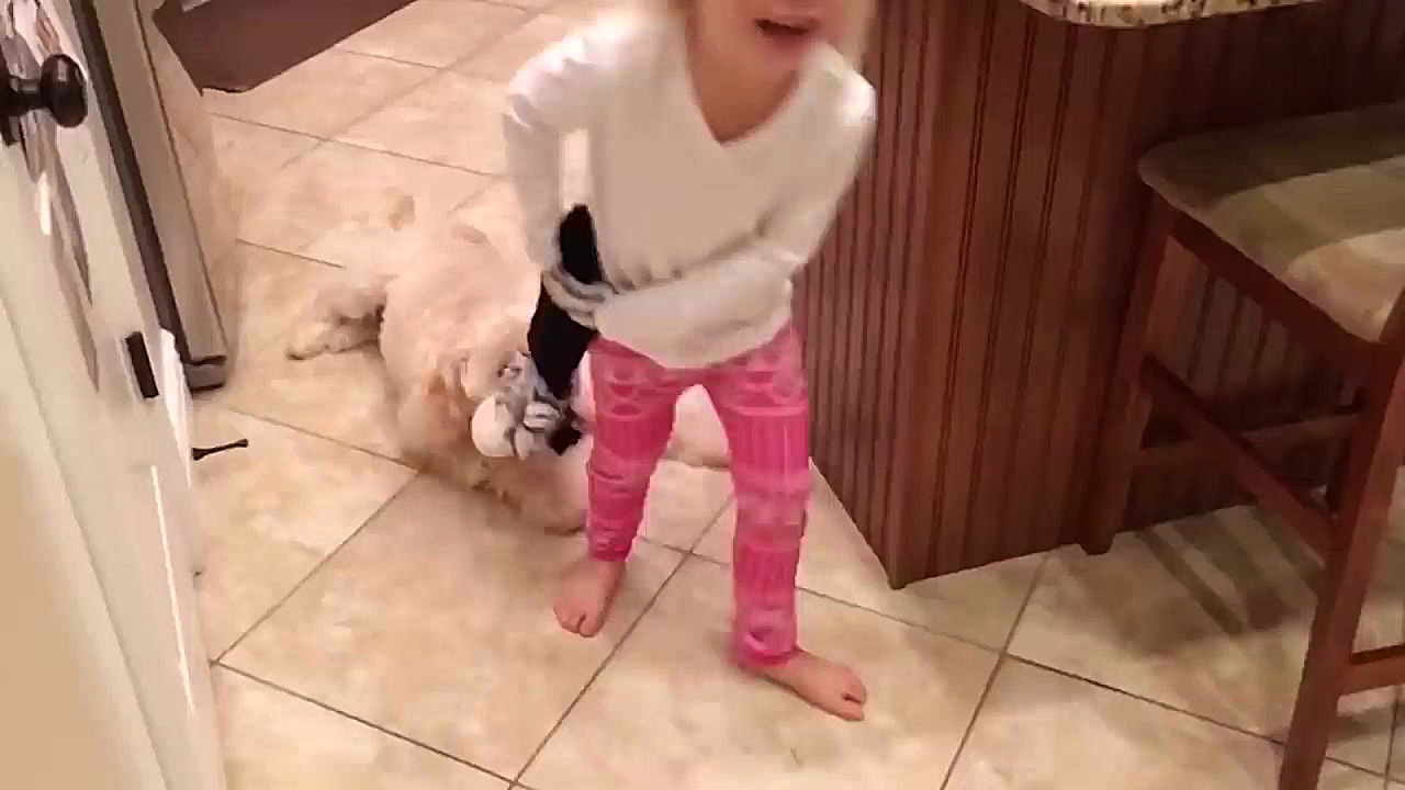 دوستی خنده دار نوزادها و سگ ها...