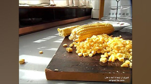 دانه کردن و نگهداری ذرت