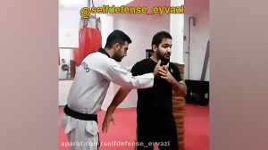 آموزش عملی دفاع شخصی  استاد حس...