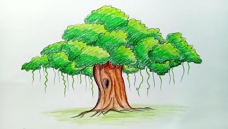 How to draw a Banyan tree easy / national tree of India | easy tree drawing  #banyan #tree - YouTube