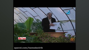 خواص دارویی دو گیاه مفراح و تو...