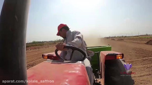 کاشت تمام مکانیزه پیاز زعفران...