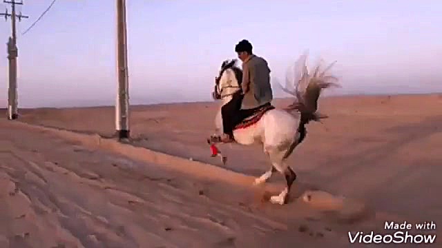 امپراطور میبد . مالک : ابوالفض...