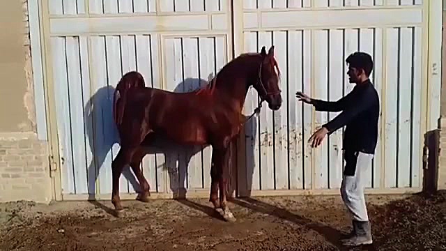 خیرالشقب میبد . محل استقرار :...