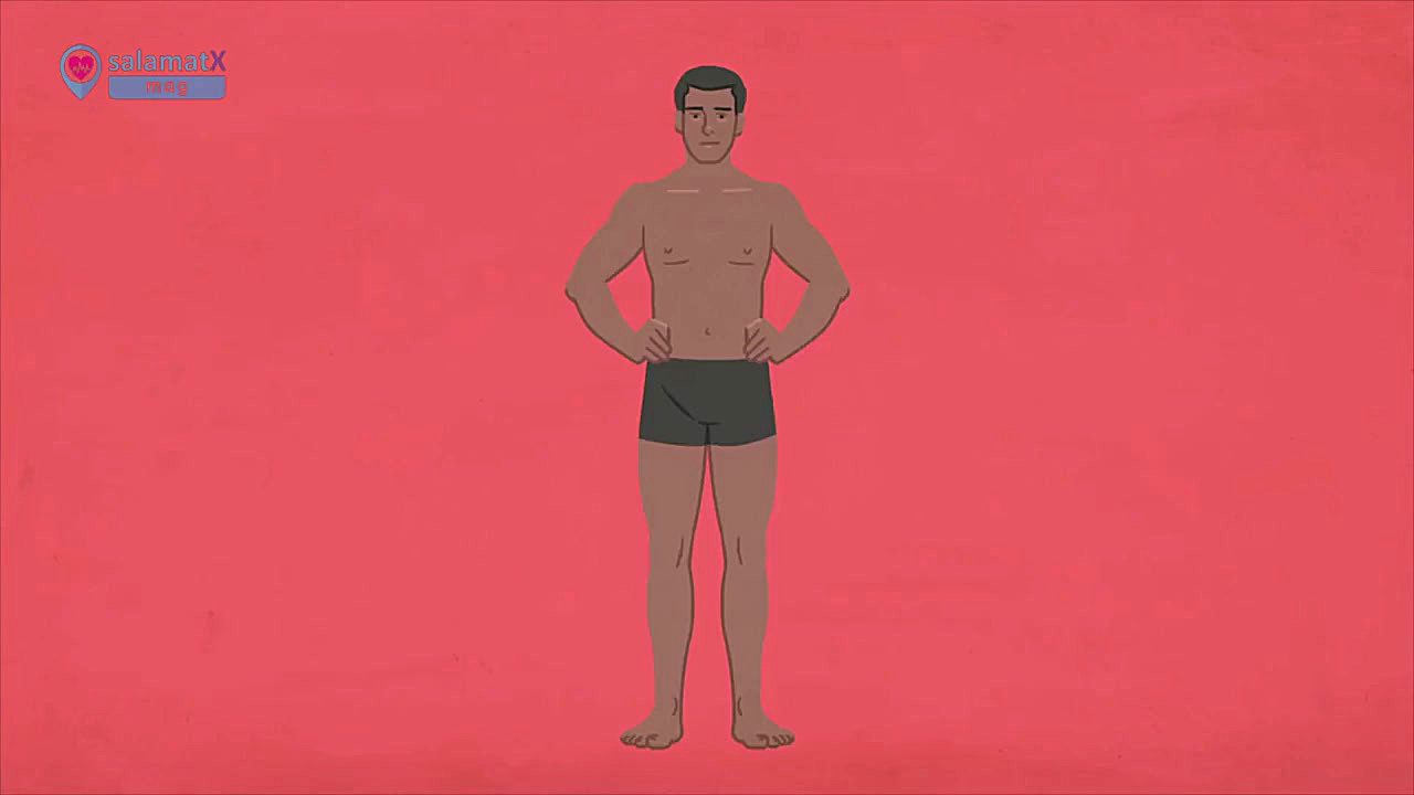 [ویدیوهای آموزشی TED ED]؛ بررس...