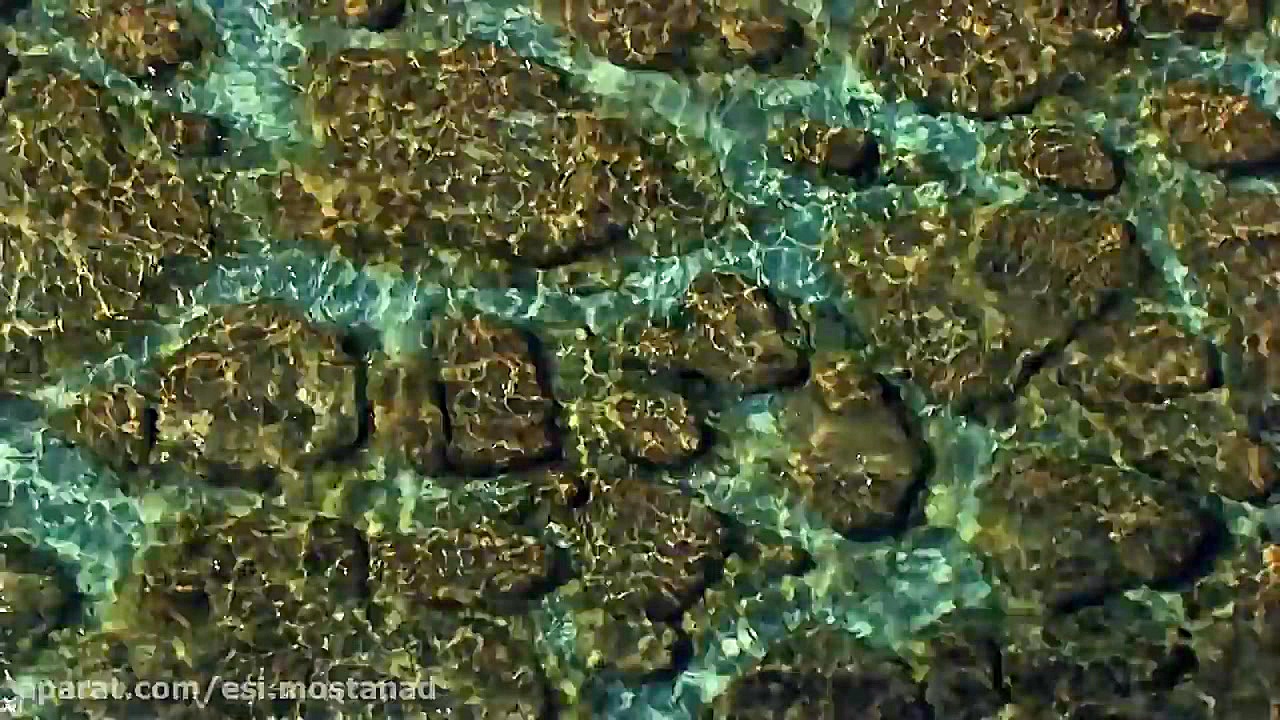 Planet Ocean فیلم مستند زیبای &laquo; سیاره اقیانوس &raquo; دوبله فارسی زمان5562ثانیه
