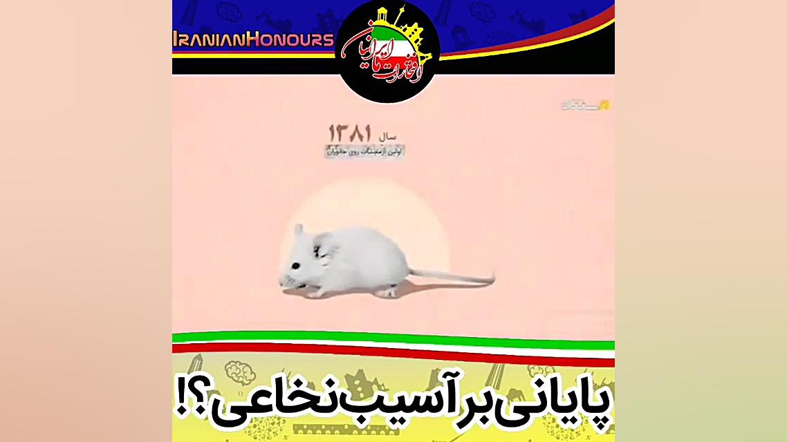 پایانی بر آسیب نخاعی