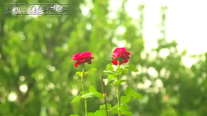 اینکه همین جمعه روز ظهور باشد...
