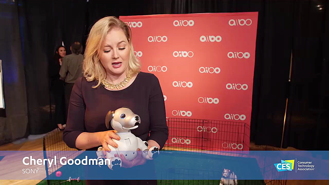 پیش نمایشی کوتاه از آنچه در CE...