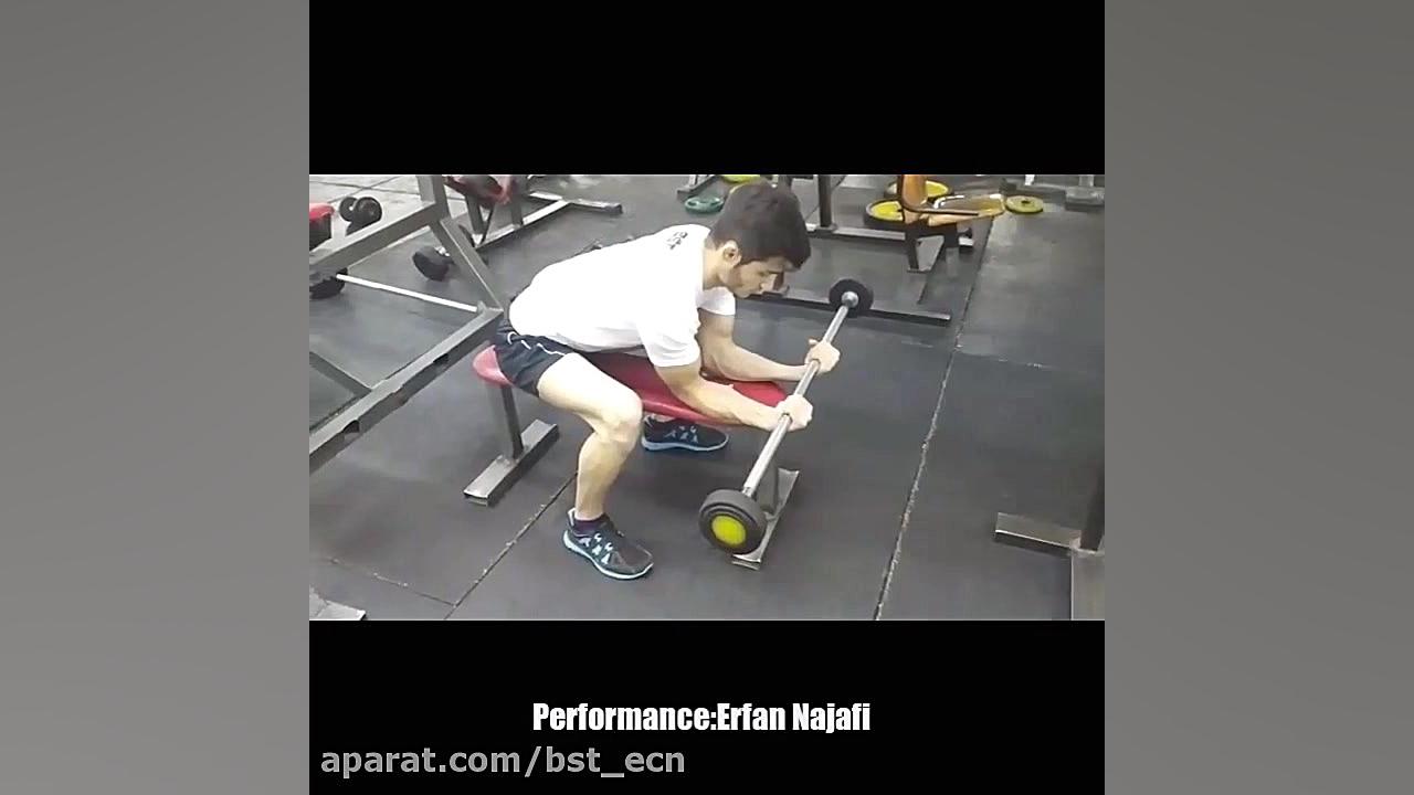 ساعد هالتر نشسته