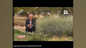 معرفی خواص دارویی گیاه بومادرا...