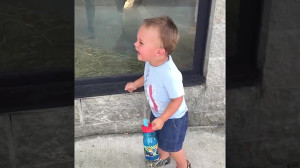 FUNNY Babies and Monkey Become...